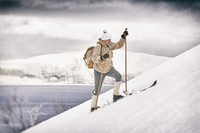 wooden backcountry skis rise in the lyngen alps